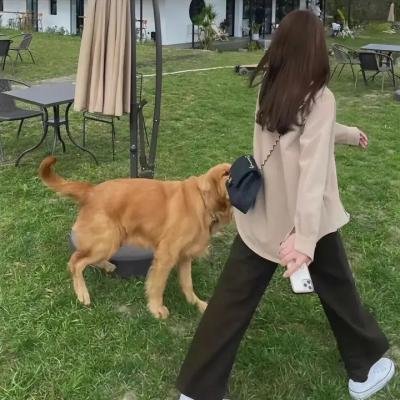 天生失败者